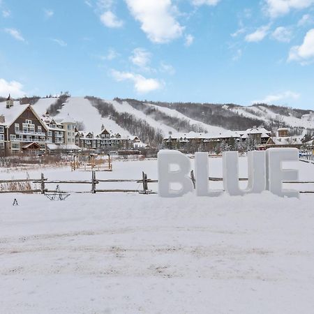 Blue Mtn Getaway In Historic Snowbridge Chalet Villa Collingwood Bagian luar foto