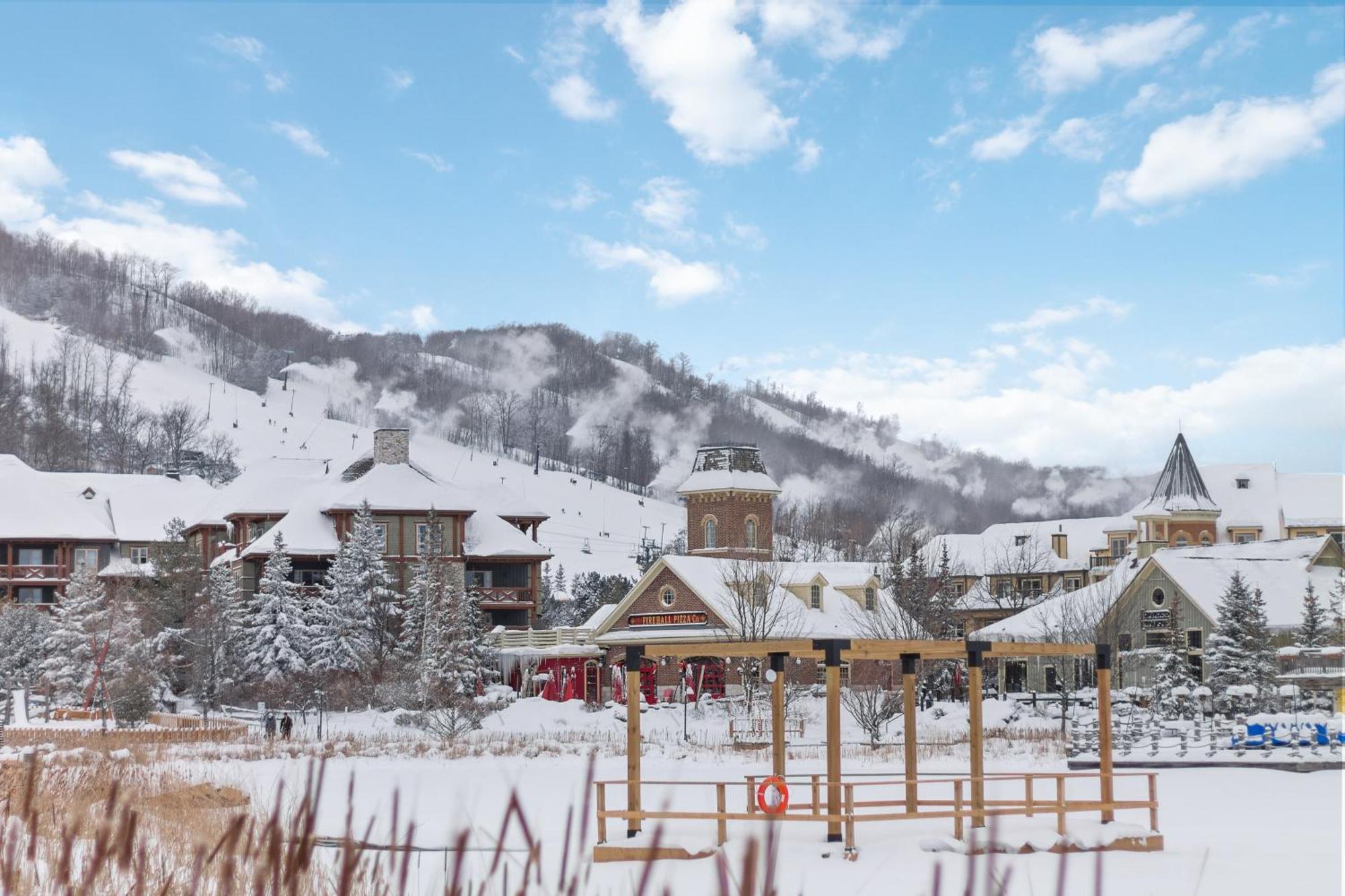 Blue Mtn Getaway In Historic Snowbridge Chalet Villa Collingwood Bagian luar foto