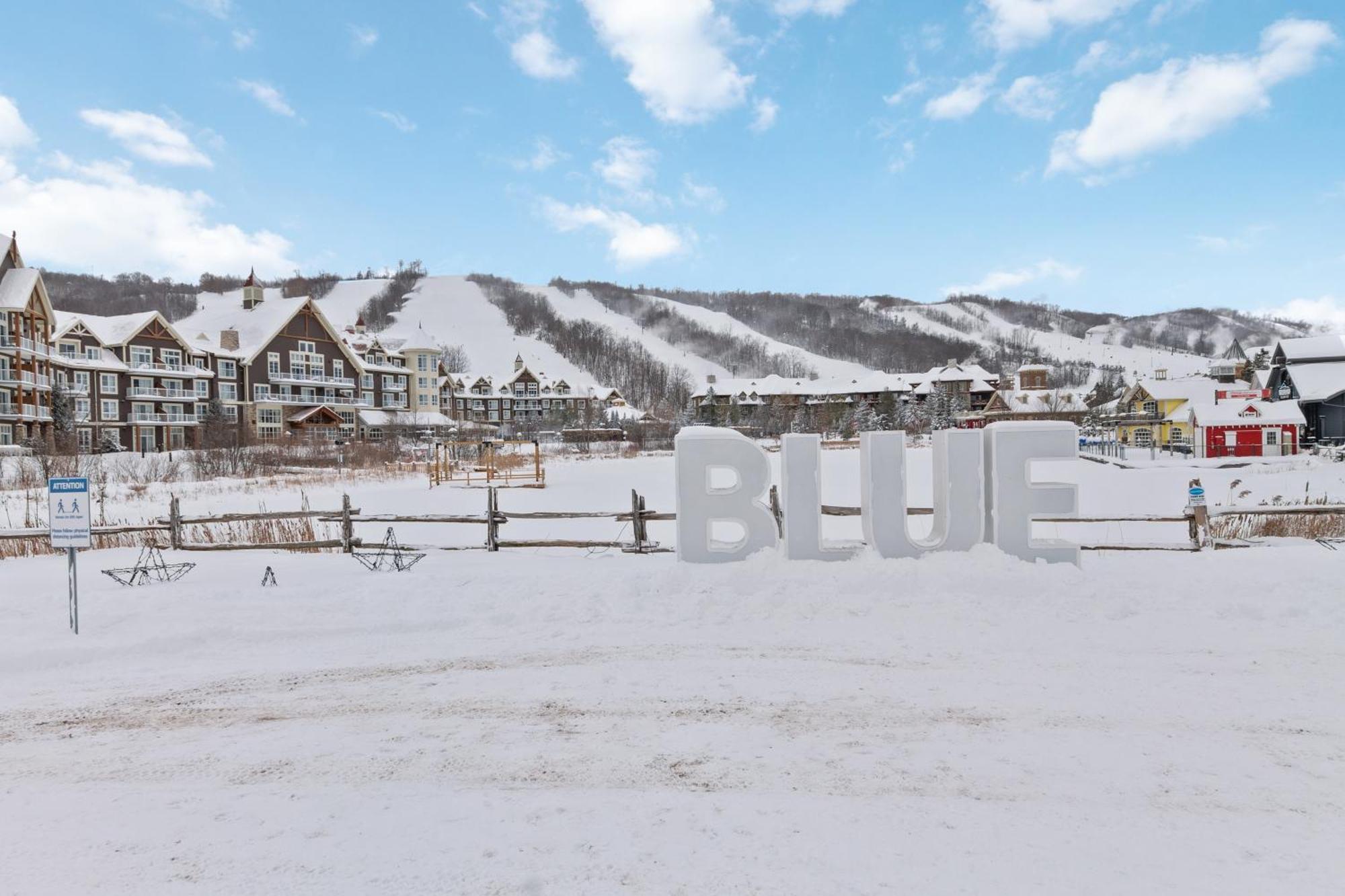 Blue Mtn Getaway In Historic Snowbridge Chalet Villa Collingwood Bagian luar foto