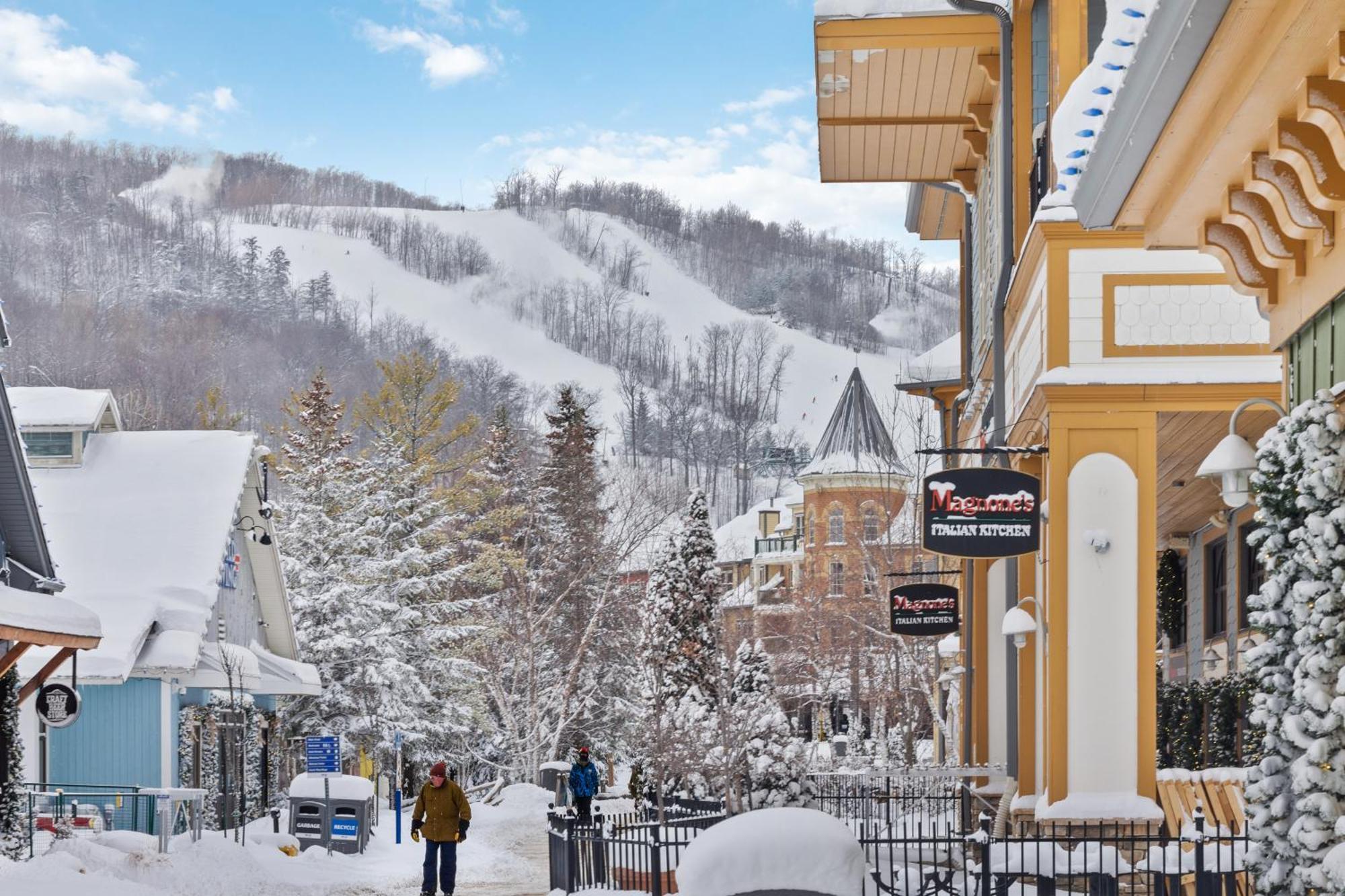 Blue Mtn Getaway In Historic Snowbridge Chalet Villa Collingwood Bagian luar foto