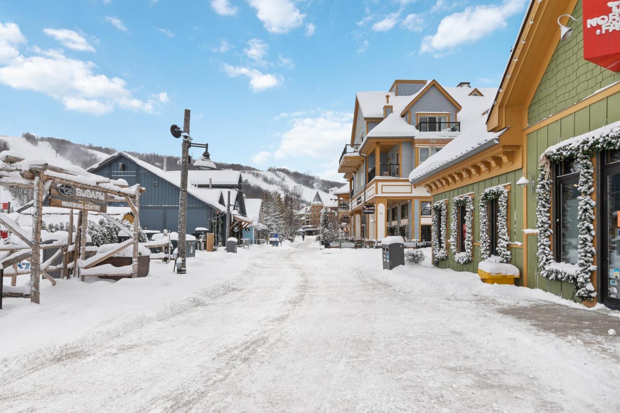 Blue Mtn Getaway In Historic Snowbridge Chalet Villa Collingwood Bagian luar foto